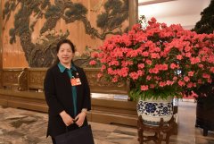 全国政协委员姜妍：加大资金和政策支持 助力沈阳市制造业绿色转型